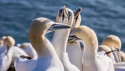 爱游戏体育入口-中国篮球青训体系人才培养质量监控与评估，篮球青训师