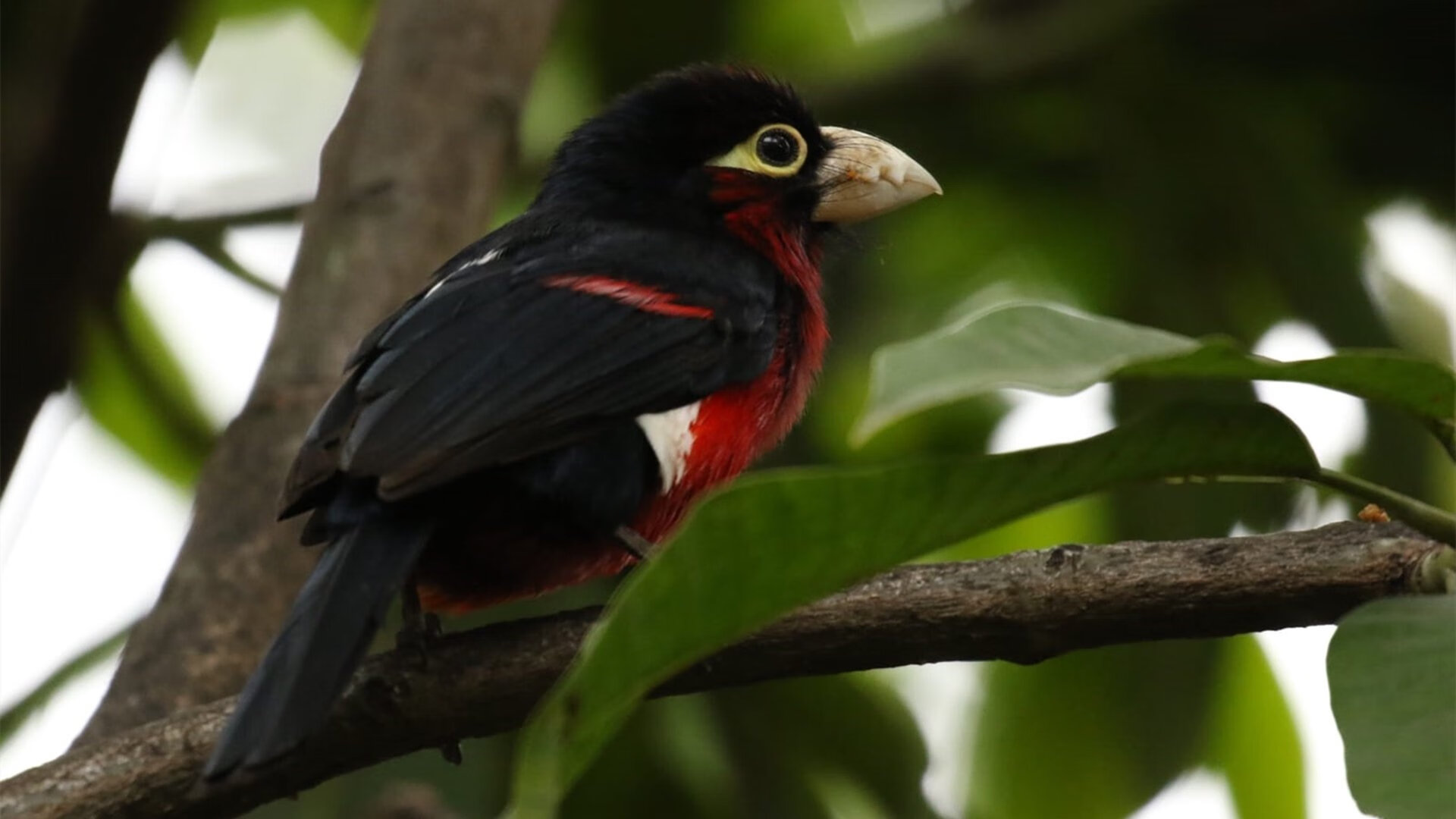 爱游戏app下载-英超球队技术统计助力快速轮换效率提升，英超轮数