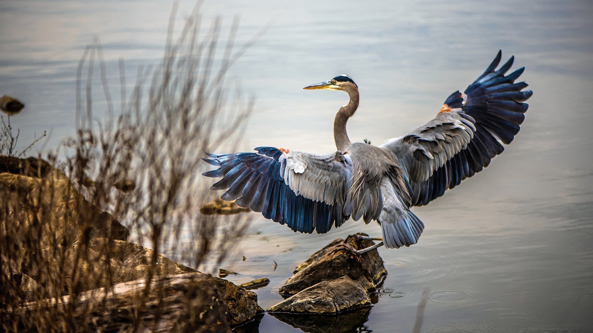 爱游戏入口-中国女篮主教练强调团队合作 精准执行战术，中国女篮主教练是谁