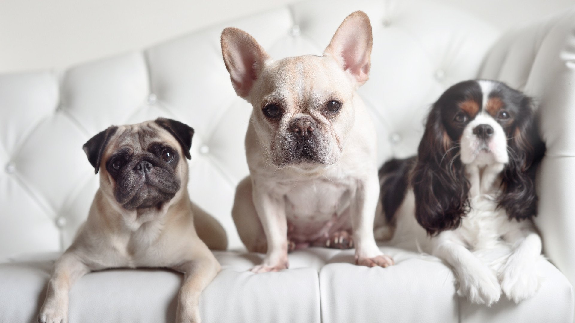 爱游戏体育下载-全民健身路径建设结合公园绿地资源，全民健身路径配置原则