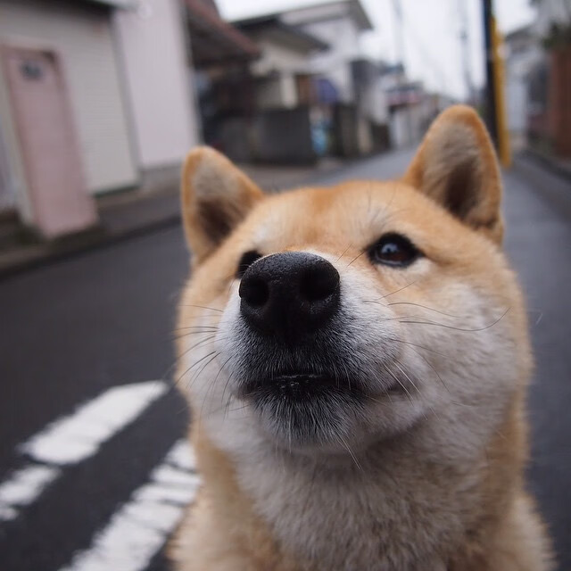波兰队赛场表现解读:如何在国际乒联混合团体世界杯中取得成功