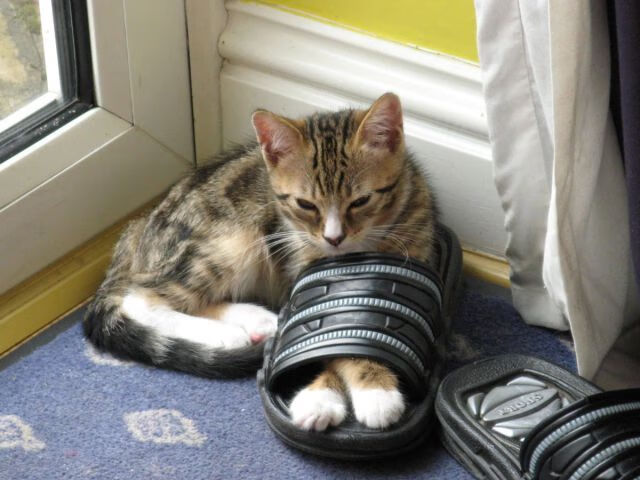 爱游戏平台-马洛卡小范围传控提升控球稳定性，马洛卡是什么意思