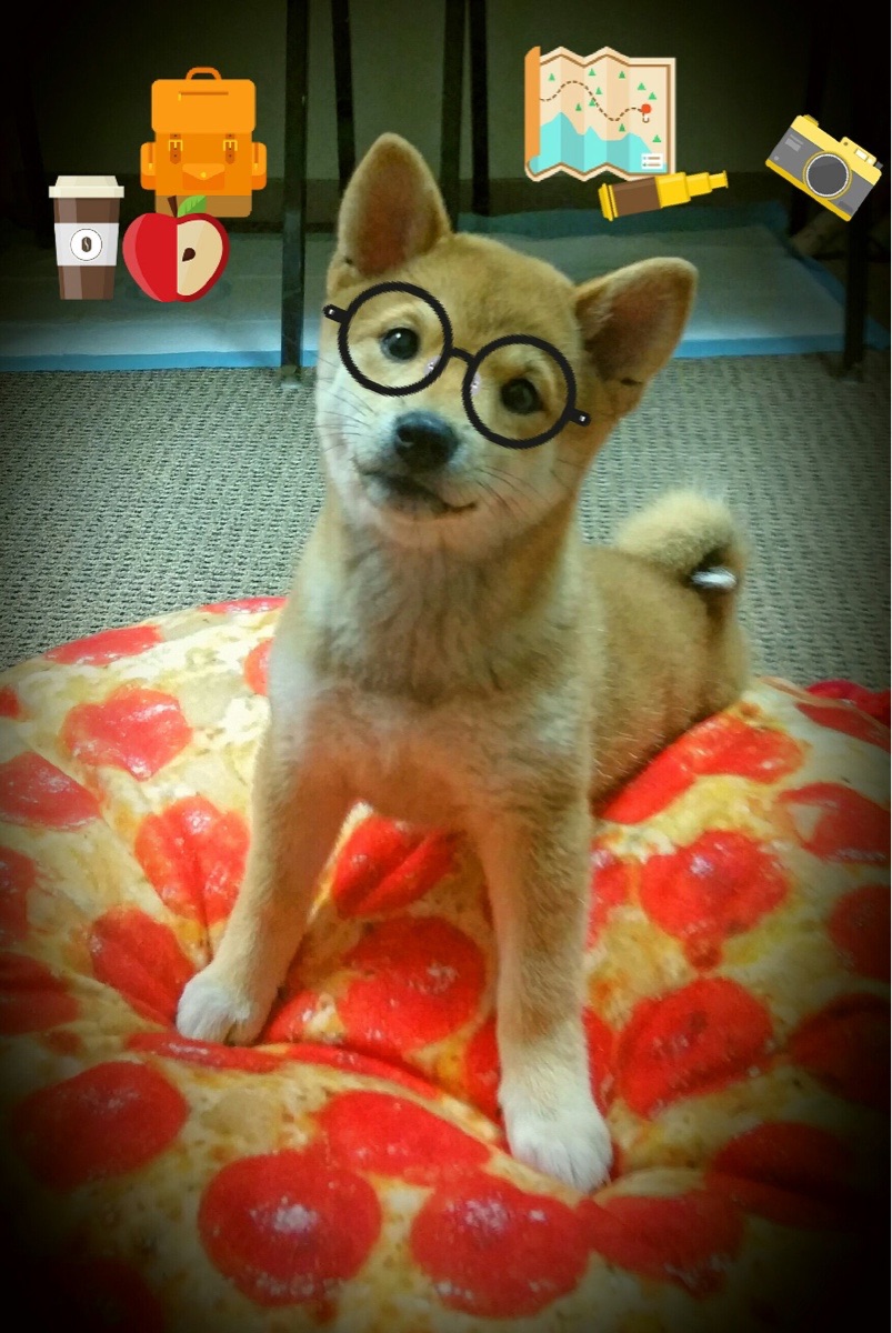 爱游戏体育app-“费尔南多·比亚尔巴：橄榄球战术革新的先锋，阿根廷美洲狮队的未来巨星”