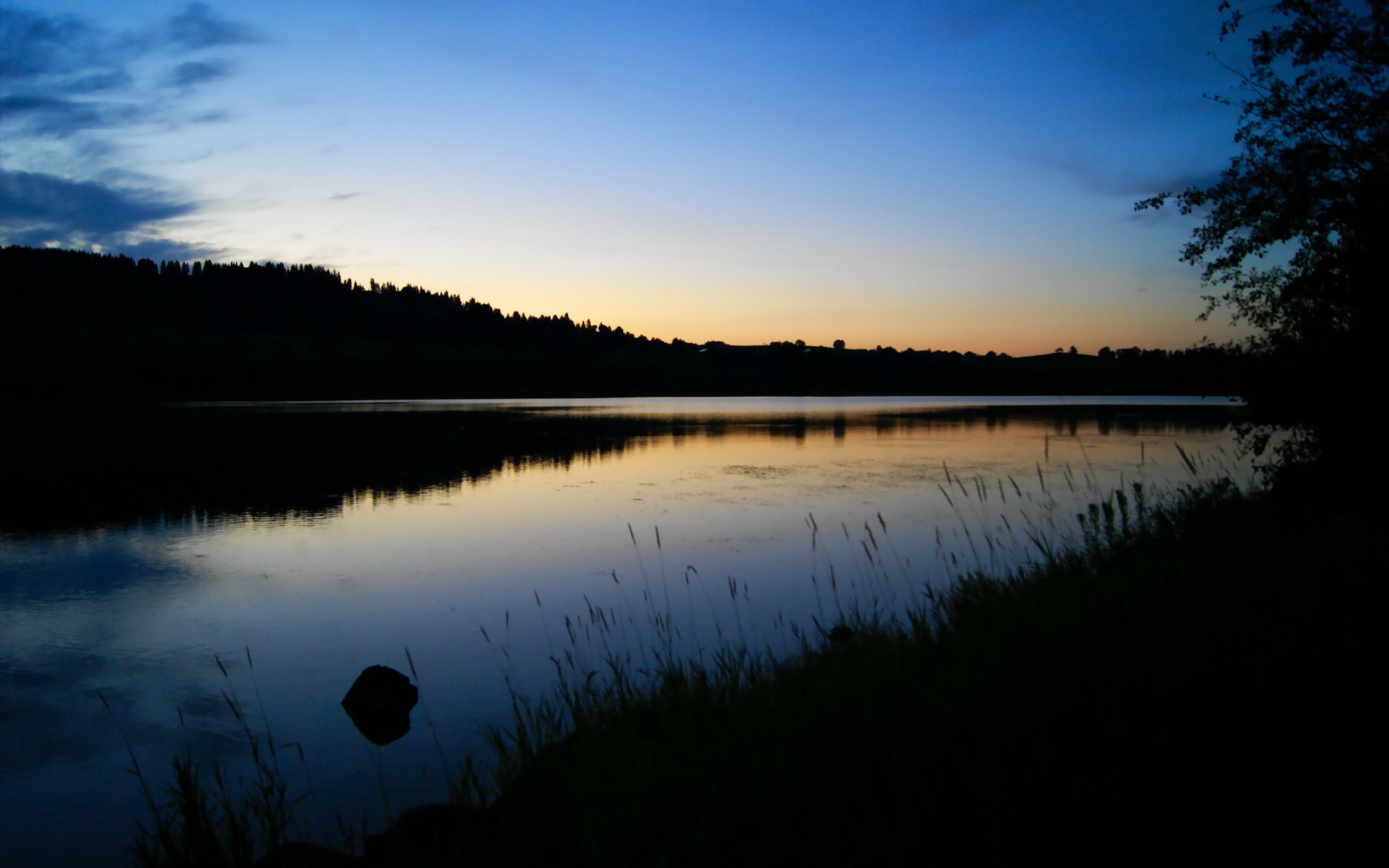 爱游戏app活动-詹姆斯·奥康纳的突破与防守反击，改变比赛局势，詹姆弗康纳利照片